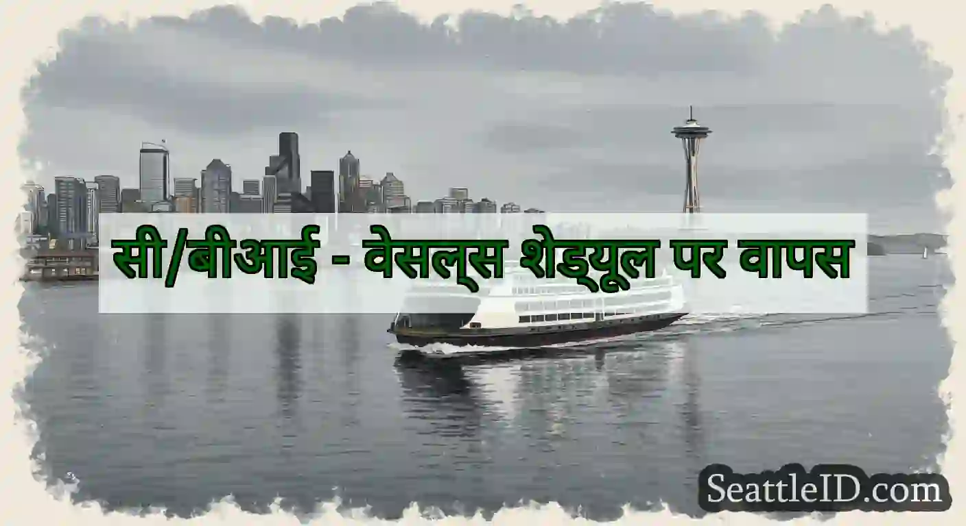 सी/बीआई - वेसल्स शेड्यूल पर वापस