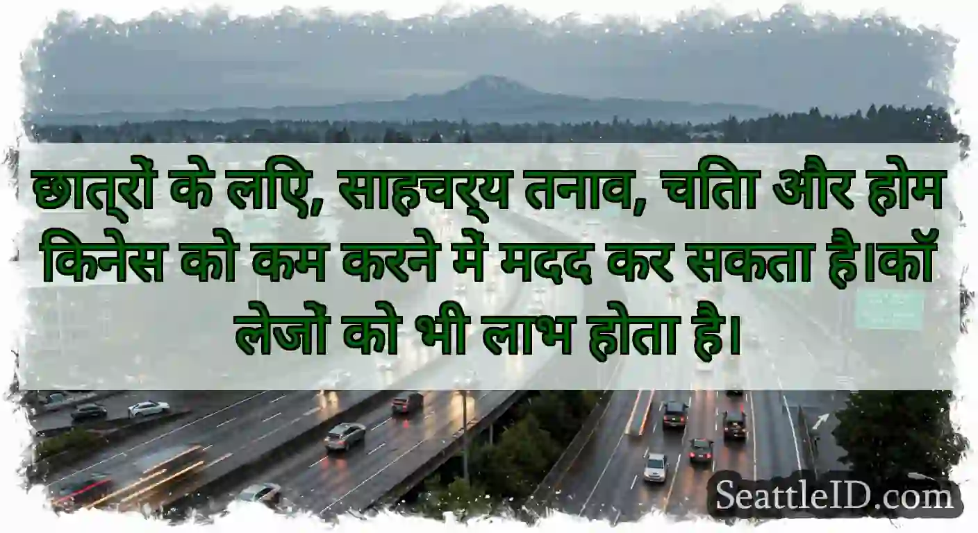 छात्रों के लिए, साहचर्य तनाव, चिंता और होमिकनेस
