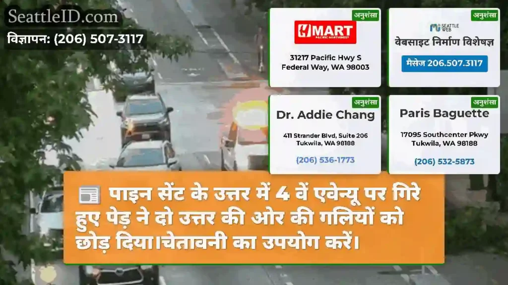 पाइन सेंट के उत्तर में 4 वें एवेन्यू पर गिरे हुए