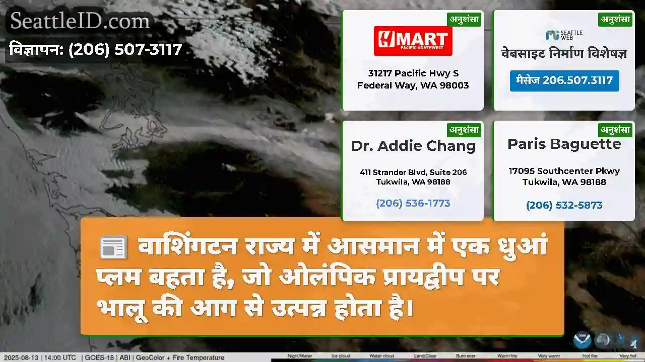 वाशिंगटन राज्य में आसमान में एक धुआं प्लम बहता