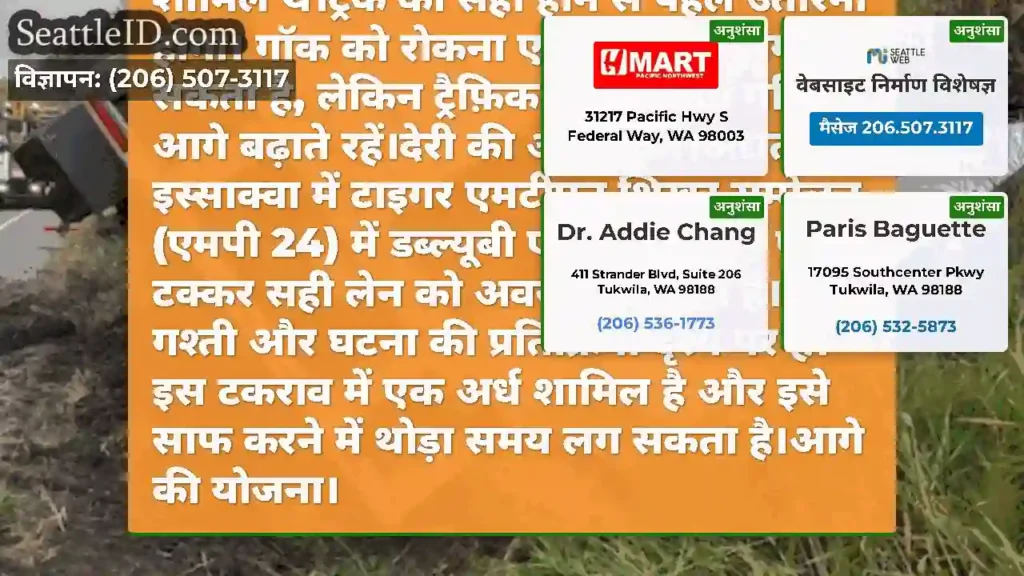 अद्यतन 2: यह स्थिति केले है!टाइगर एमटीएन शिखर