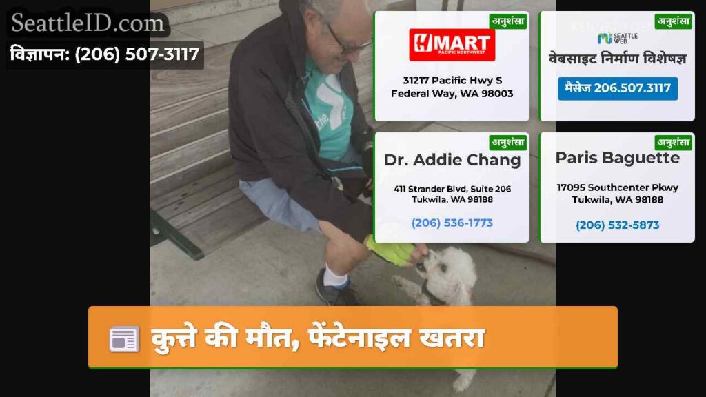 कुत्ते की मौत, फेंटेनाइल खतरा