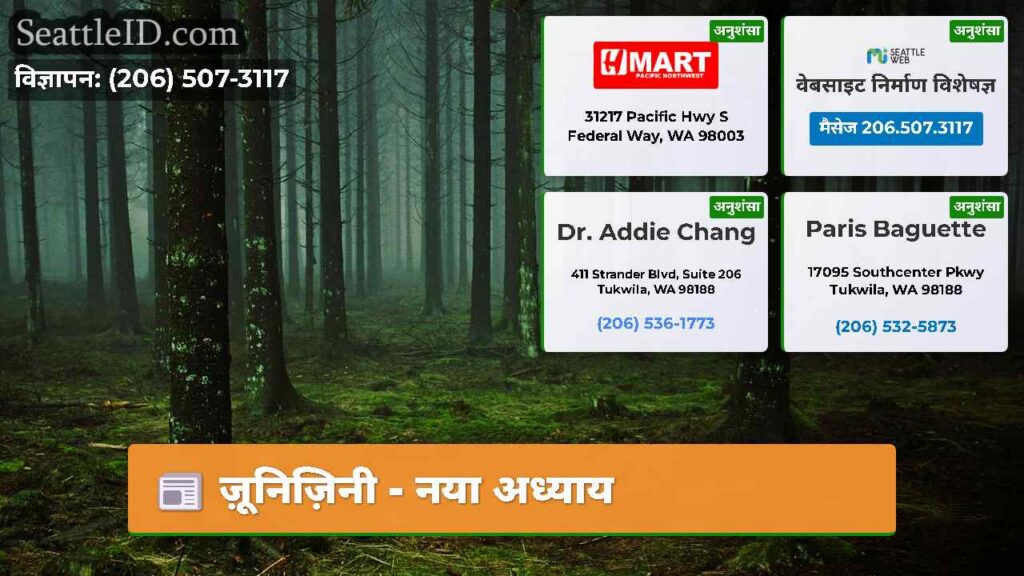 ज़ूनिज़िनी - नया अध्याय