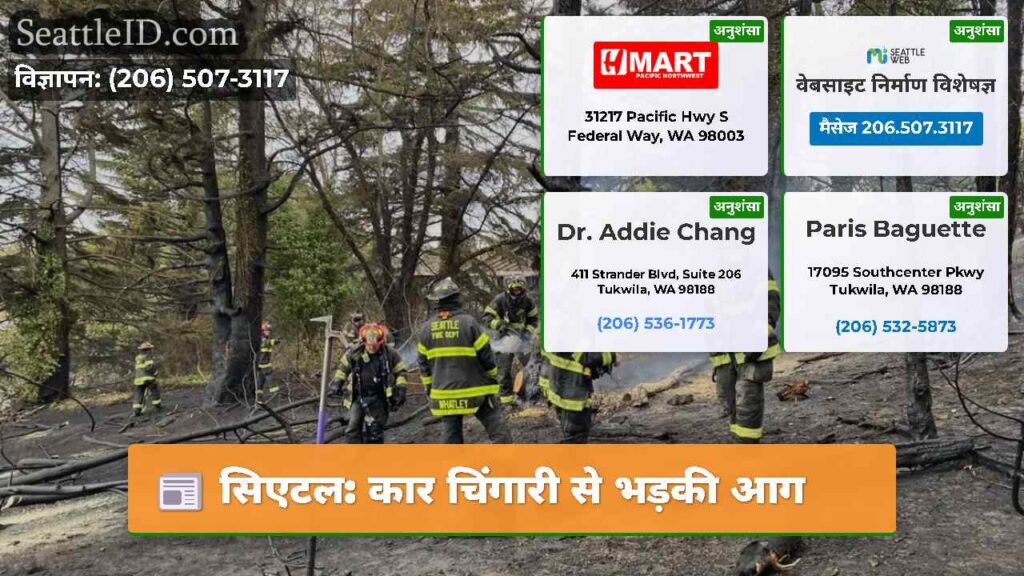 सिएटल: कार चिंगारी से भड़की आग
