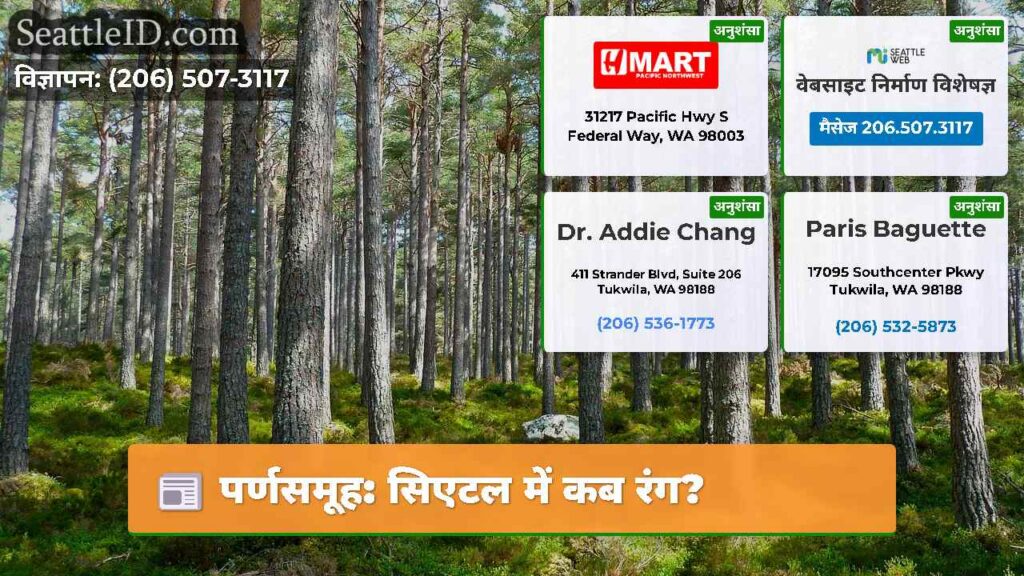 पर्णसमूह: सिएटल में कब रंग?