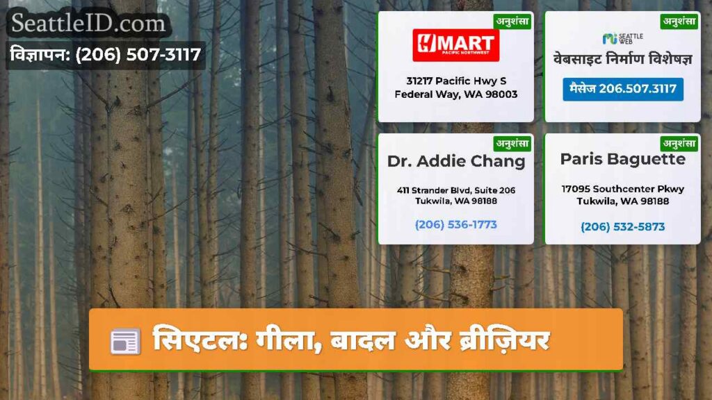 सिएटल: गीला, बादल और ब्रीज़ियर