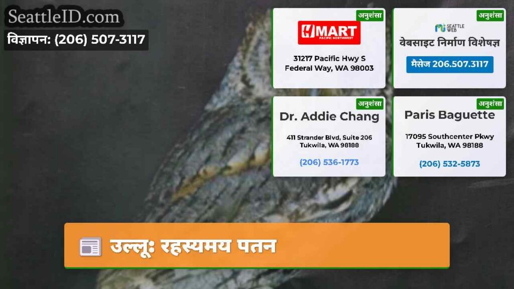 उल्लू: रहस्यमय पतन