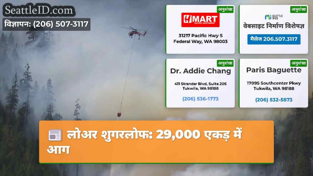 लोअर शुगरलोफ: 29,000 एकड़ में आग
