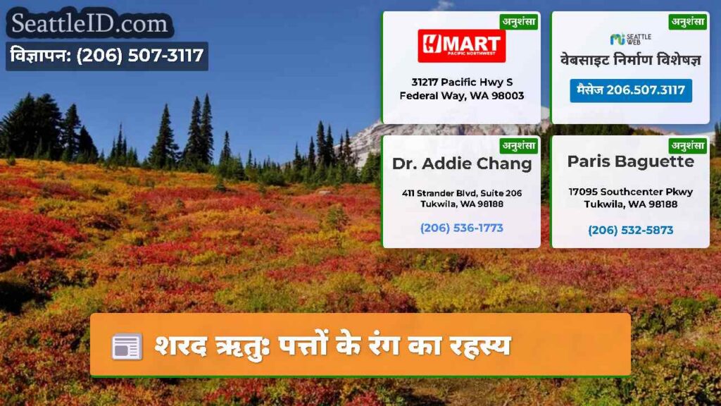 शरद ऋतु: पत्तों के रंग का रहस्य