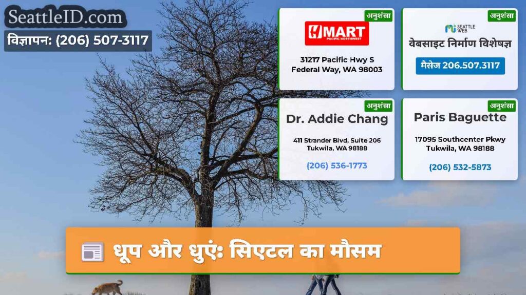 धूप और धुएं: सिएटल का मौसम