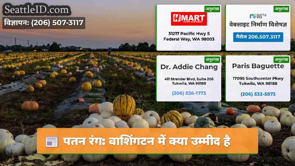 पतन रंग: वाशिंगटन में क्या उम्मीद है
