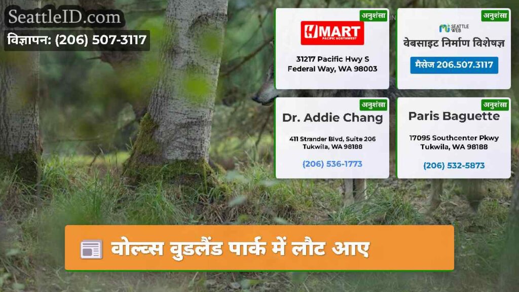 वोल्व्स वुडलैंड पार्क में लौट आए