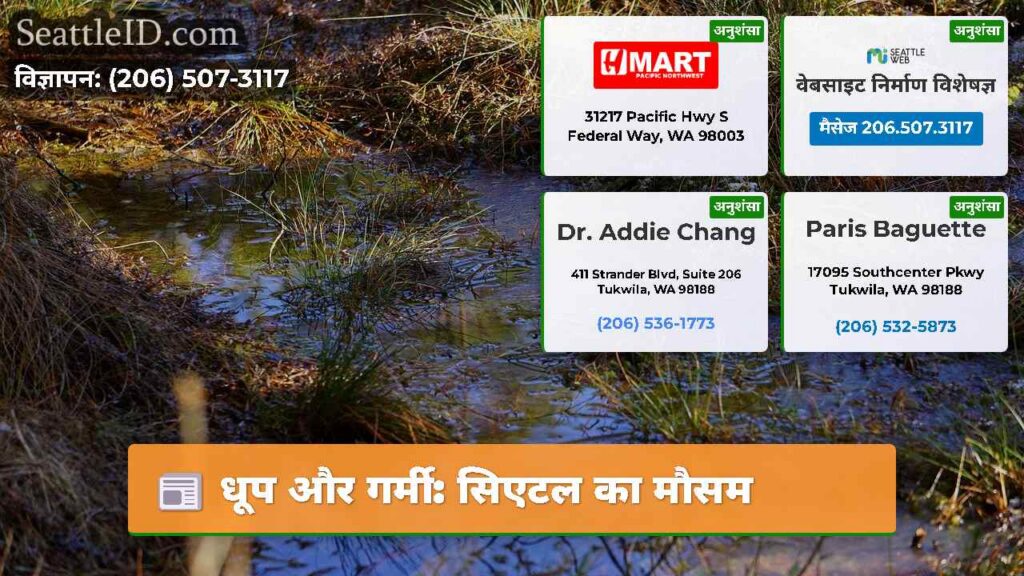 धूप और गर्मी: सिएटल का मौसम