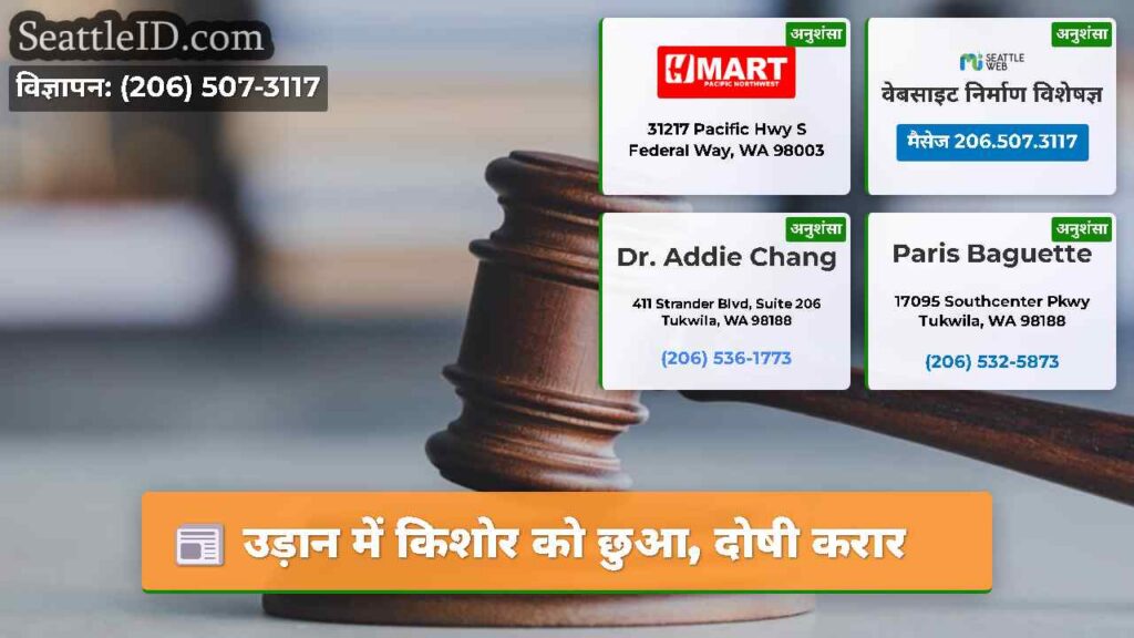 उड़ान में किशोर को छुआ, दोषी करार