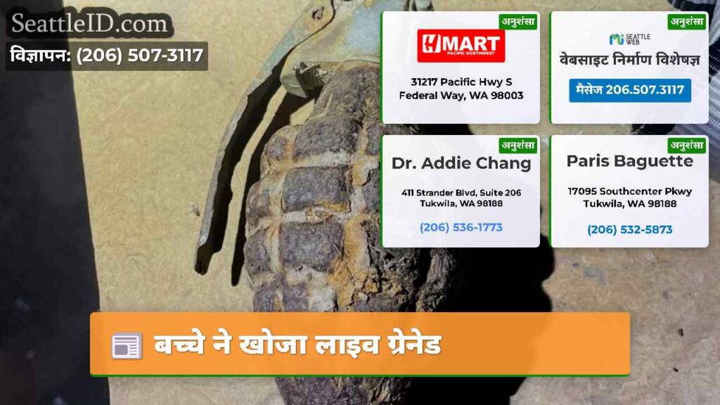बच्चे ने खोजा लाइव ग्रेनेड