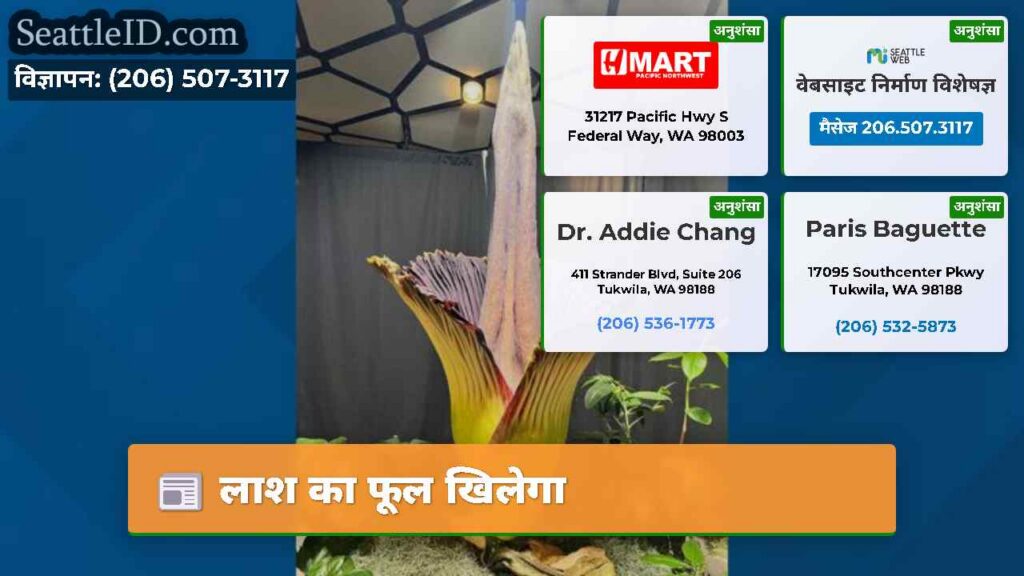लाश का फूल खिलेगा