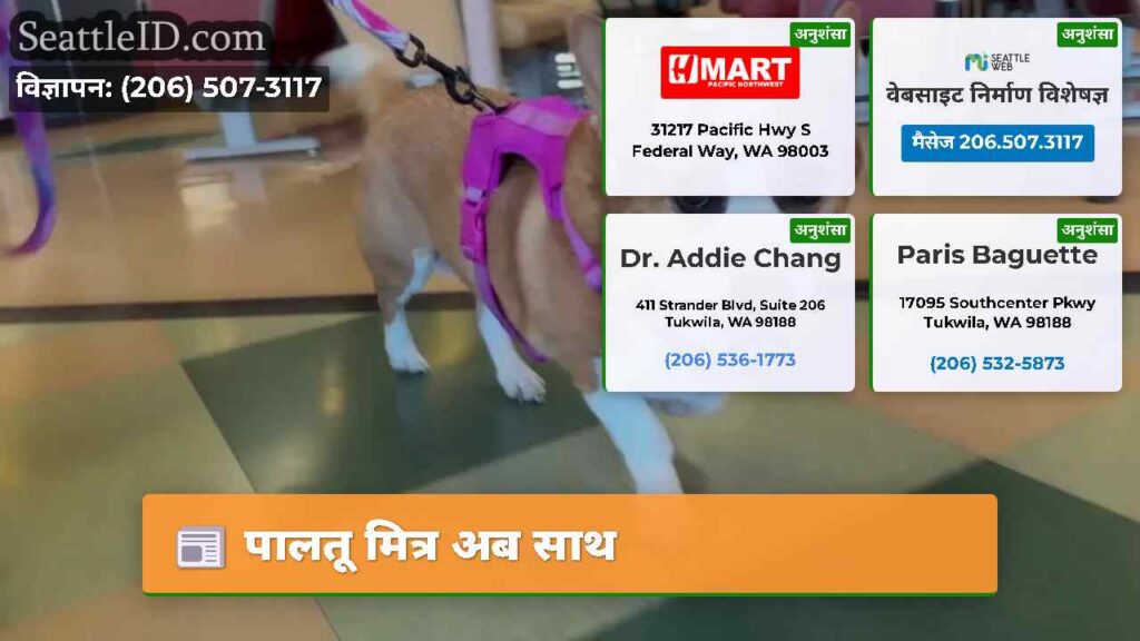 पालतू मित्र अब साथ