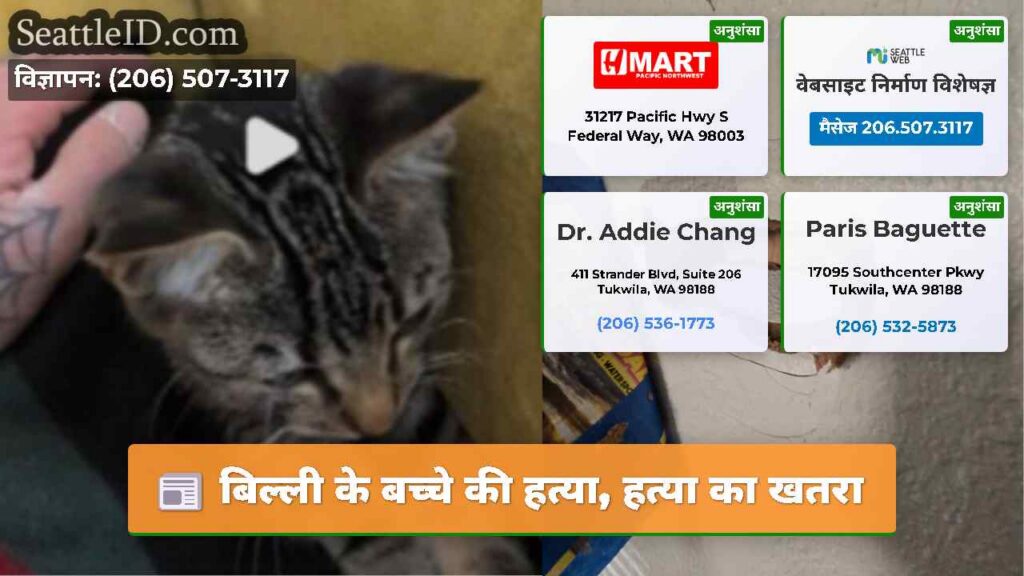 बिल्ली के बच्चे की हत्या, हत्या का खतरा