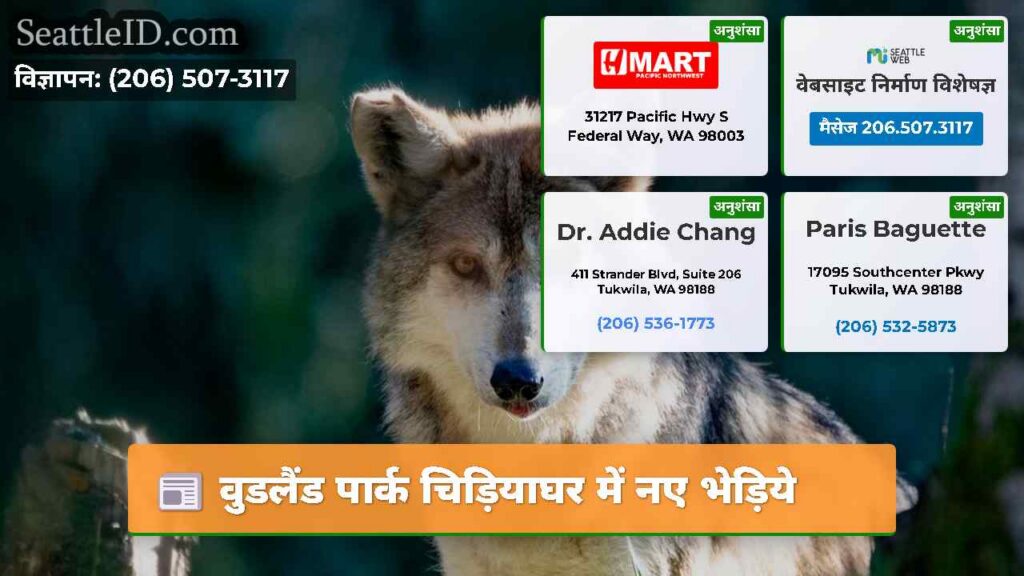वुडलैंड पार्क चिड़ियाघर में नए भेड़िये