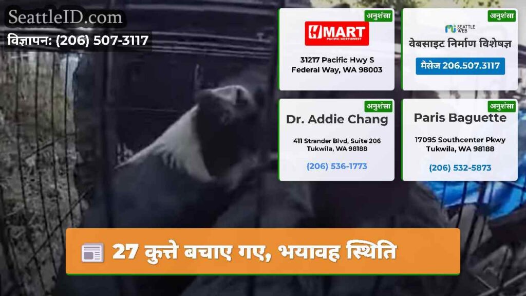 27 कुत्ते बचाए गए, भयावह स्थिति