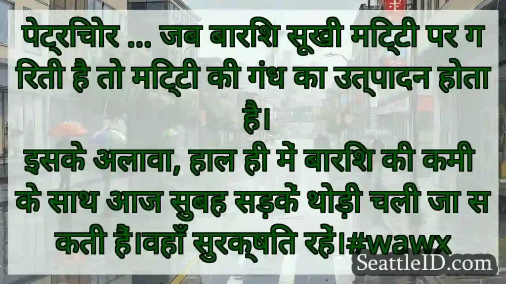 पेट्रिचोर ... जब बारिश सूखी मिट्टी पर गिरती है तो