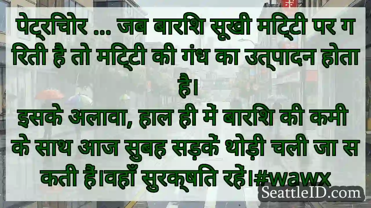 पेट्रिचोर ... जब बारिश सूखी मिट्टी पर गिरती है तो