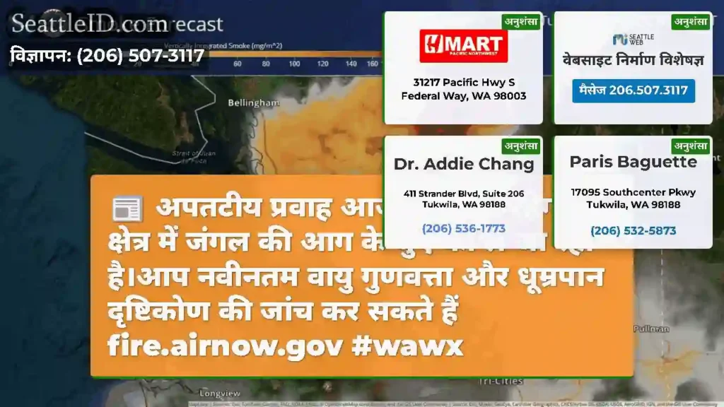 अपतटीय प्रवाह आज भी जारी रहेगा, क्षेत्र में जंगल