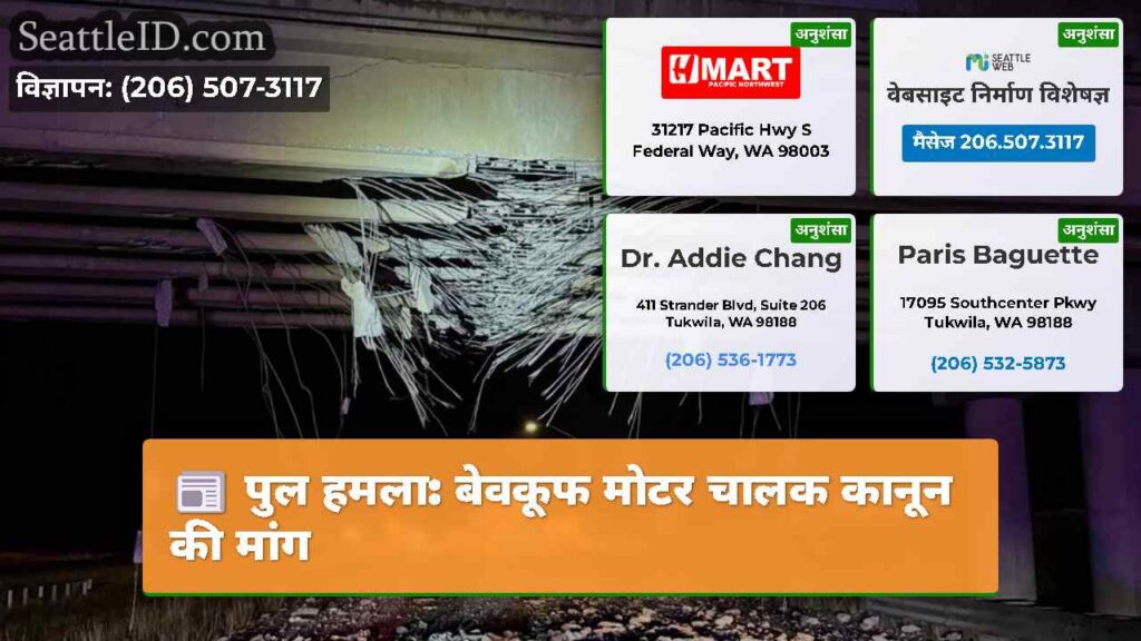 पुल हमला: बेवकूफ मोटर चालक कानून की मांग