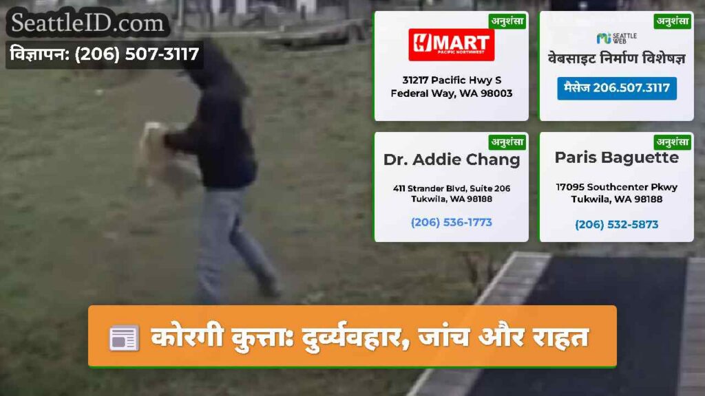 कोरगी कुत्ता: दुर्व्यवहार, जांच और राहत