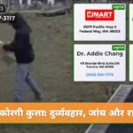 कोरगी कुत्ता दुर्व्यवहार जांच और राहत