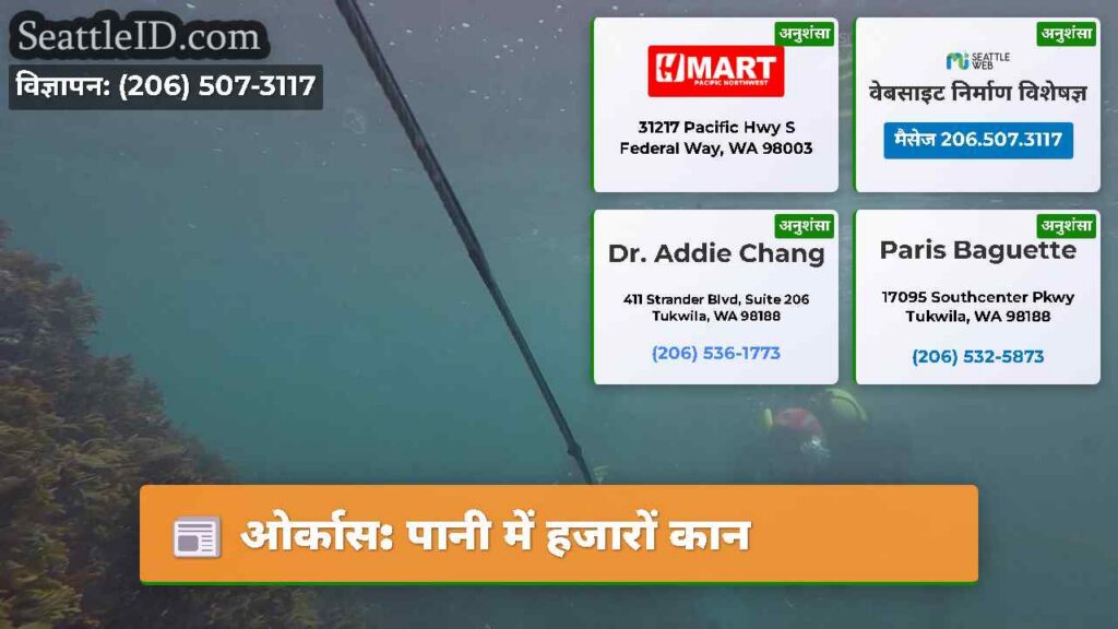 ओर्कास: पानी में हजारों कान