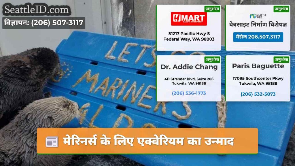 मेरिनर्स के लिए एक्वेरियम का उन्माद