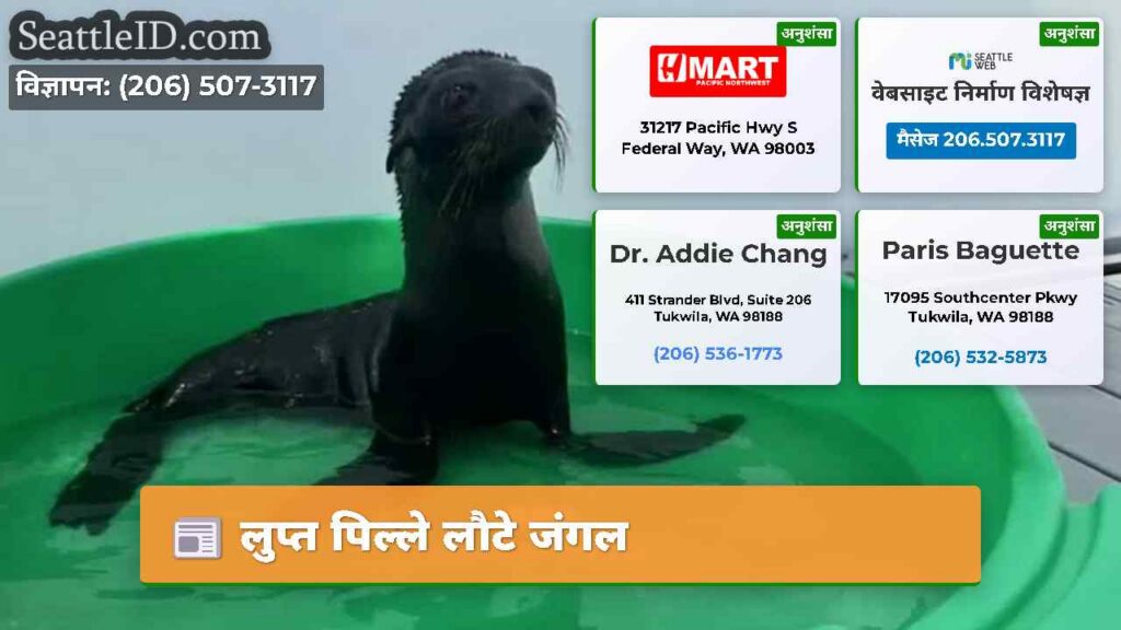 लुप्त पिल्ले लौटे जंगल