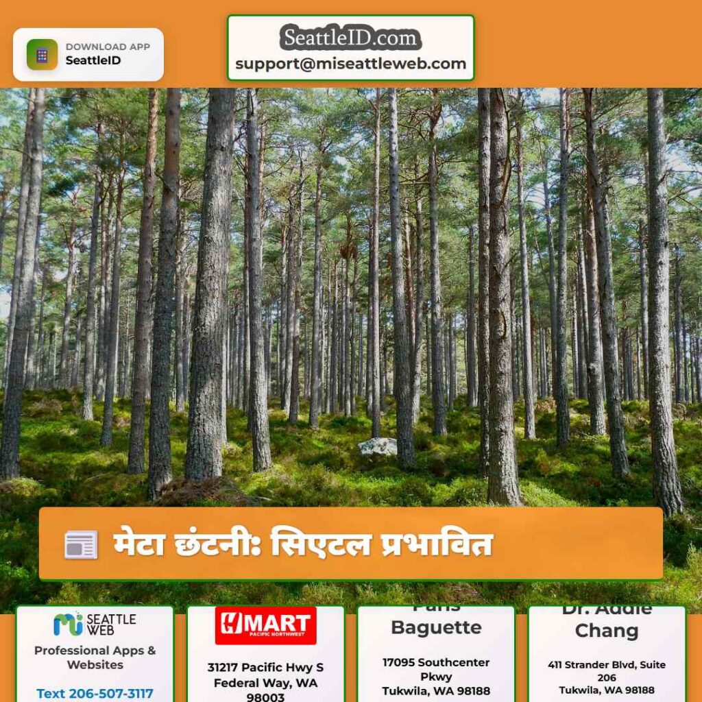 मेटा छंटनी: सिएटल प्रभावित