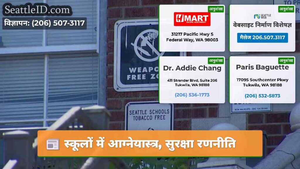 स्कूलों में आग्नेयास्त्र, सुरक्षा रणनीति