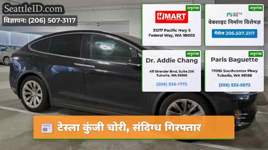 टेस्ला कुंजी चोरी, संदिग्ध गिरफ्तार