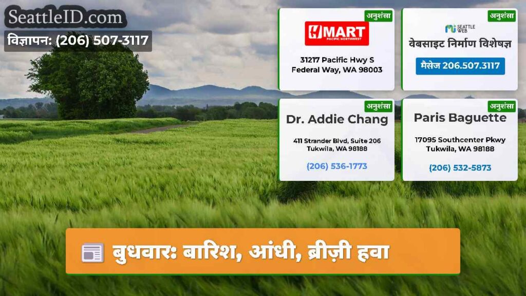 बुधवार: बारिश, आंधी, ब्रीज़ी हवा