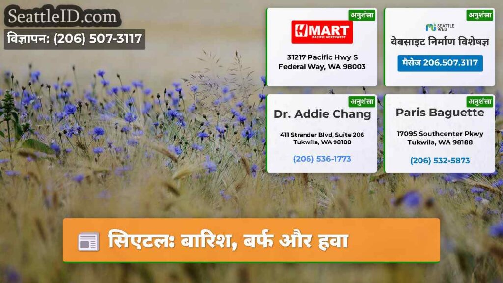 सिएटल: बारिश, बर्फ और हवा