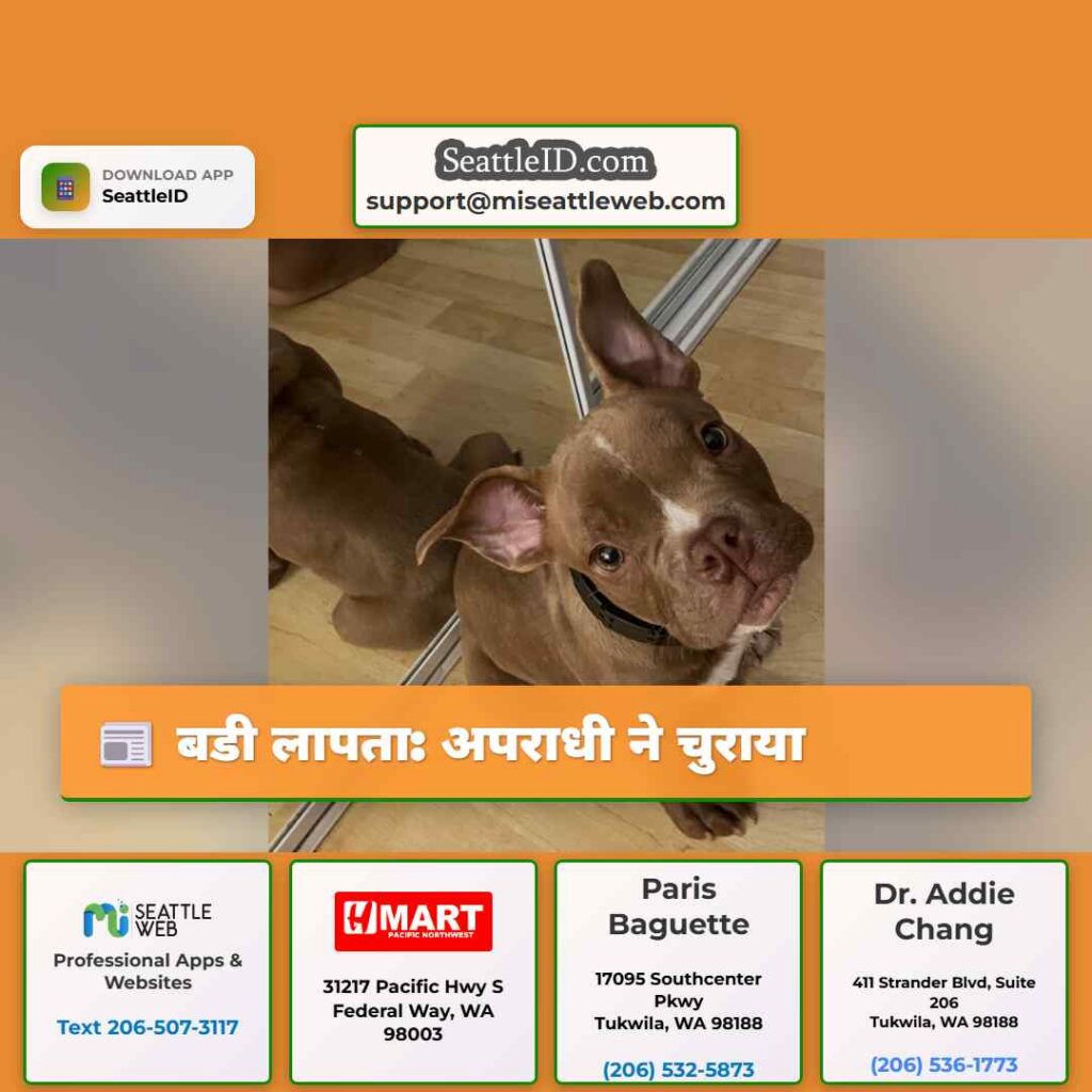 बडी लापता: अपराधी ने चुराया