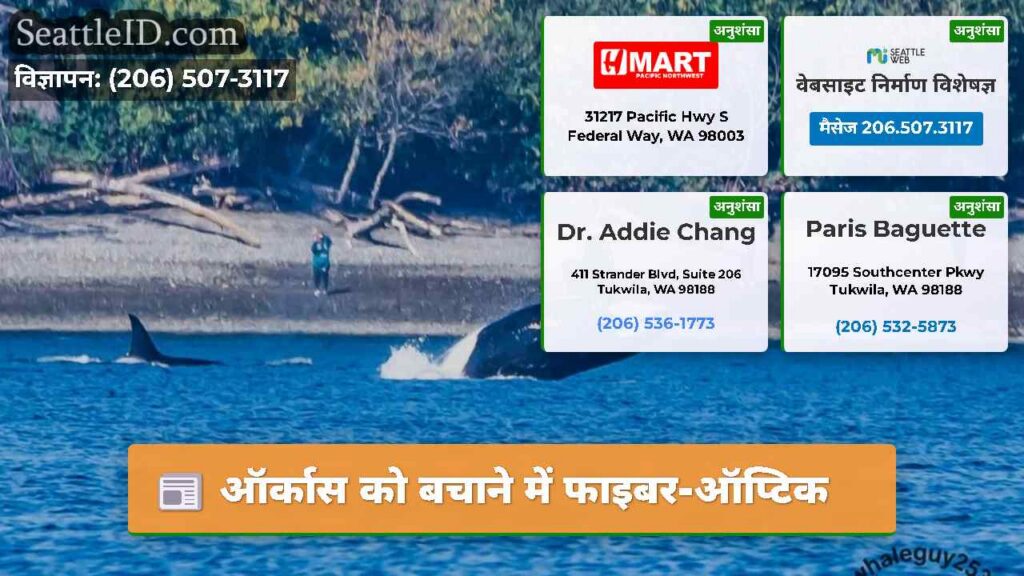 ऑर्कास को बचाने में फाइबर-ऑप्टिक