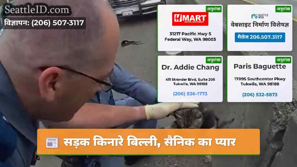सड़क किनारे बिल्ली, सैनिक का प्यार