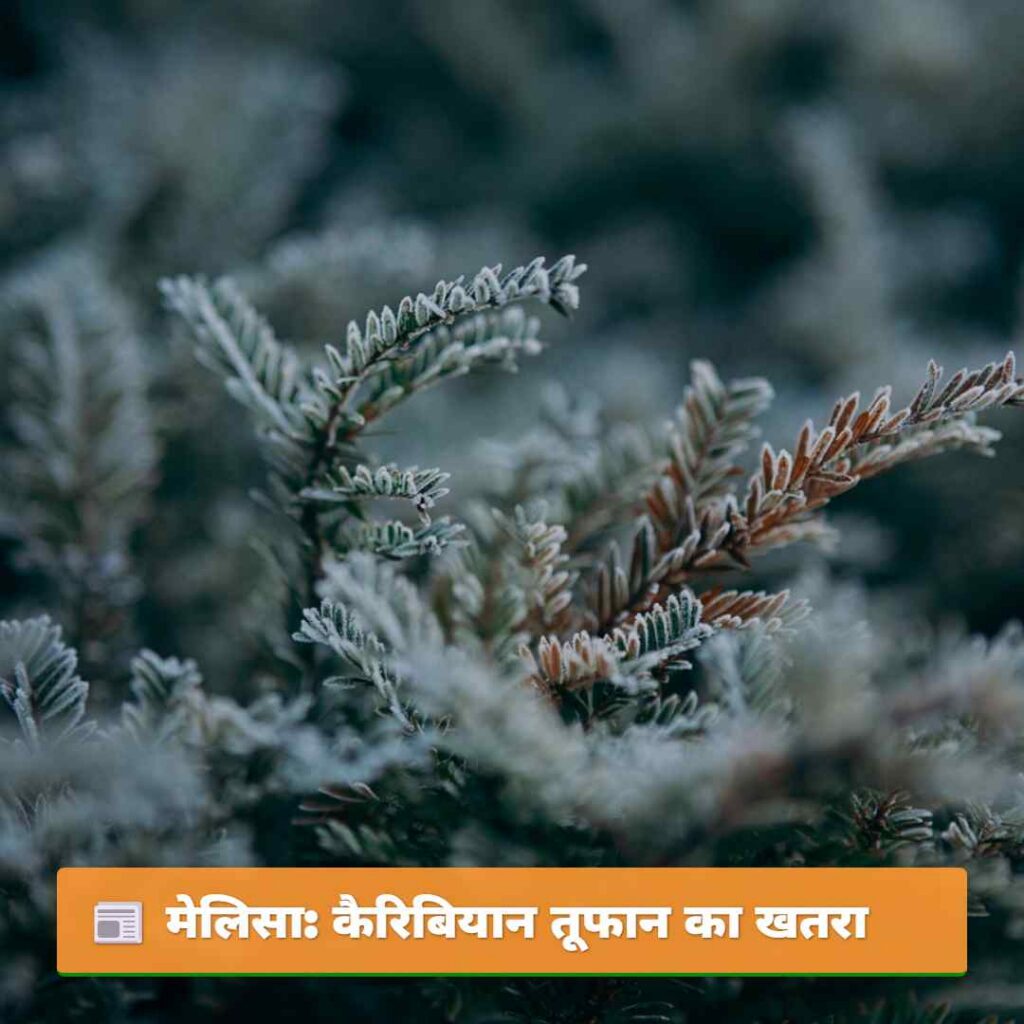 मेलिसा: कैरिबियान तूफान का खतरा