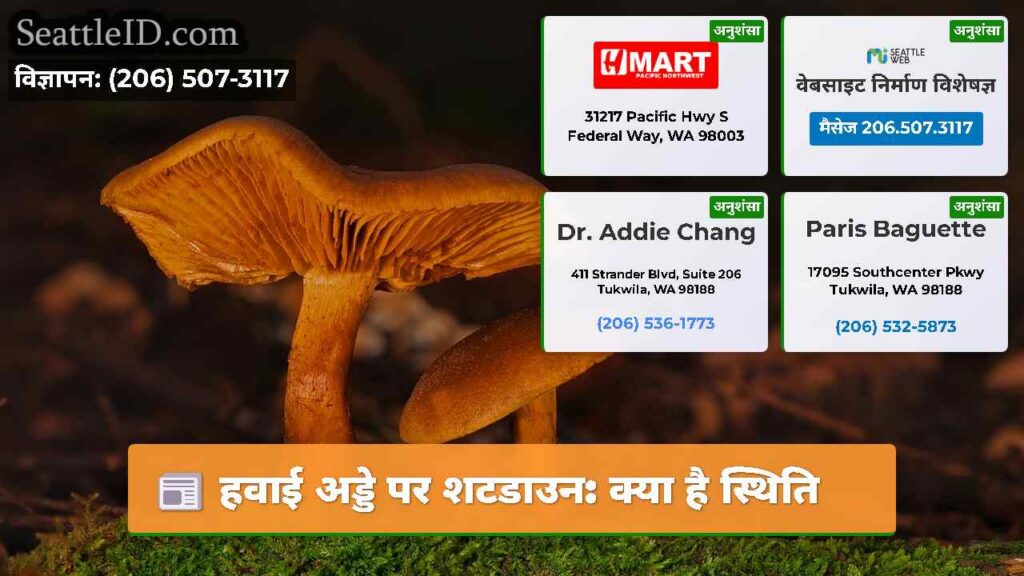 हवाई अड्डे पर शटडाउन: क्या है स्थिति