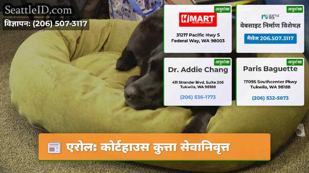 एरोल: कोर्टहाउस कुत्ता सेवानिवृत्त