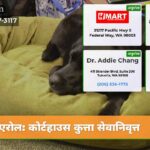 एरोल कोर्टहाउस कुत्ता सेवानिवृत्त