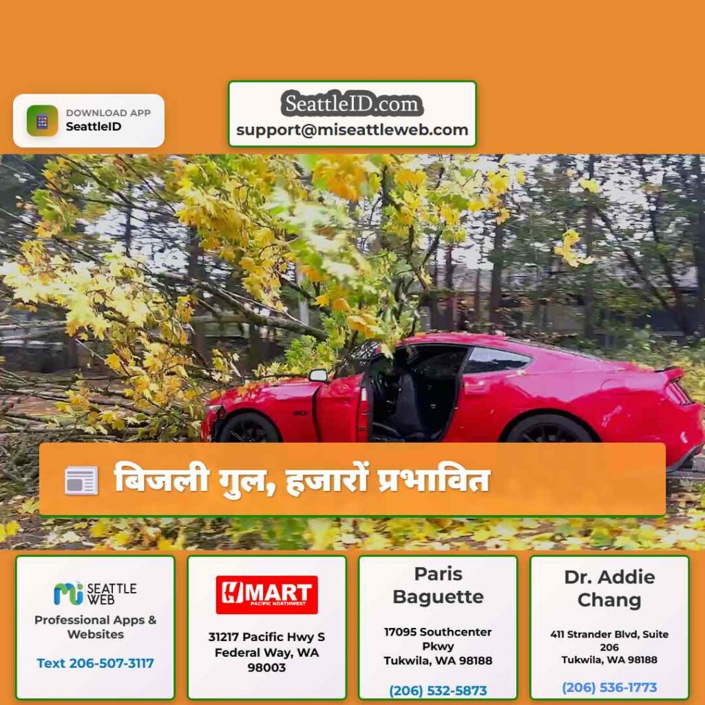 बिजली गुल, हजारों प्रभावित
