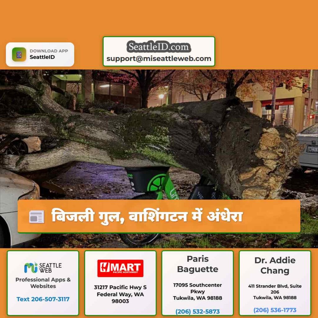 बिजली गुल, वाशिंगटन में अंधेरा