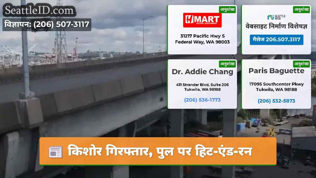 किशोर गिरफ्तार, पुल पर हिट-एंड-रन