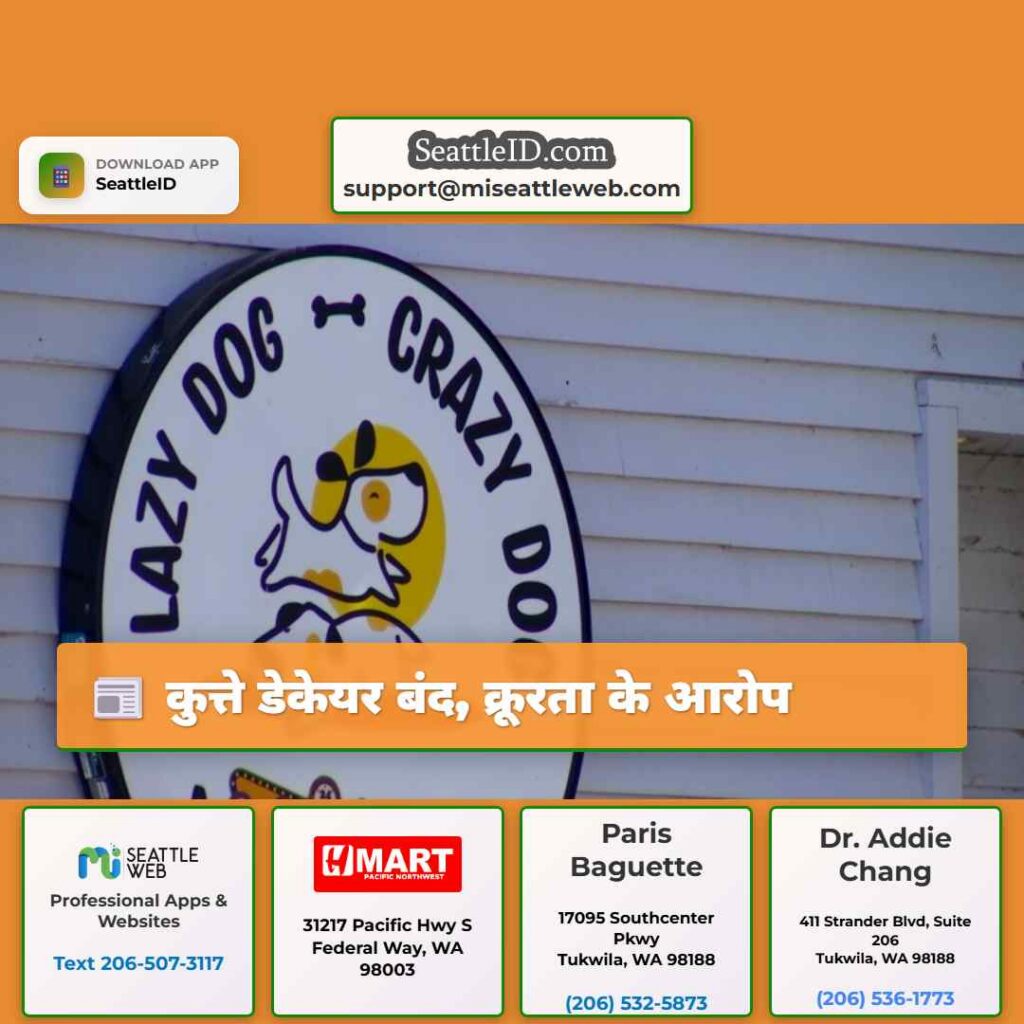 कुत्ते डेकेयर बंद, क्रूरता के आरोप