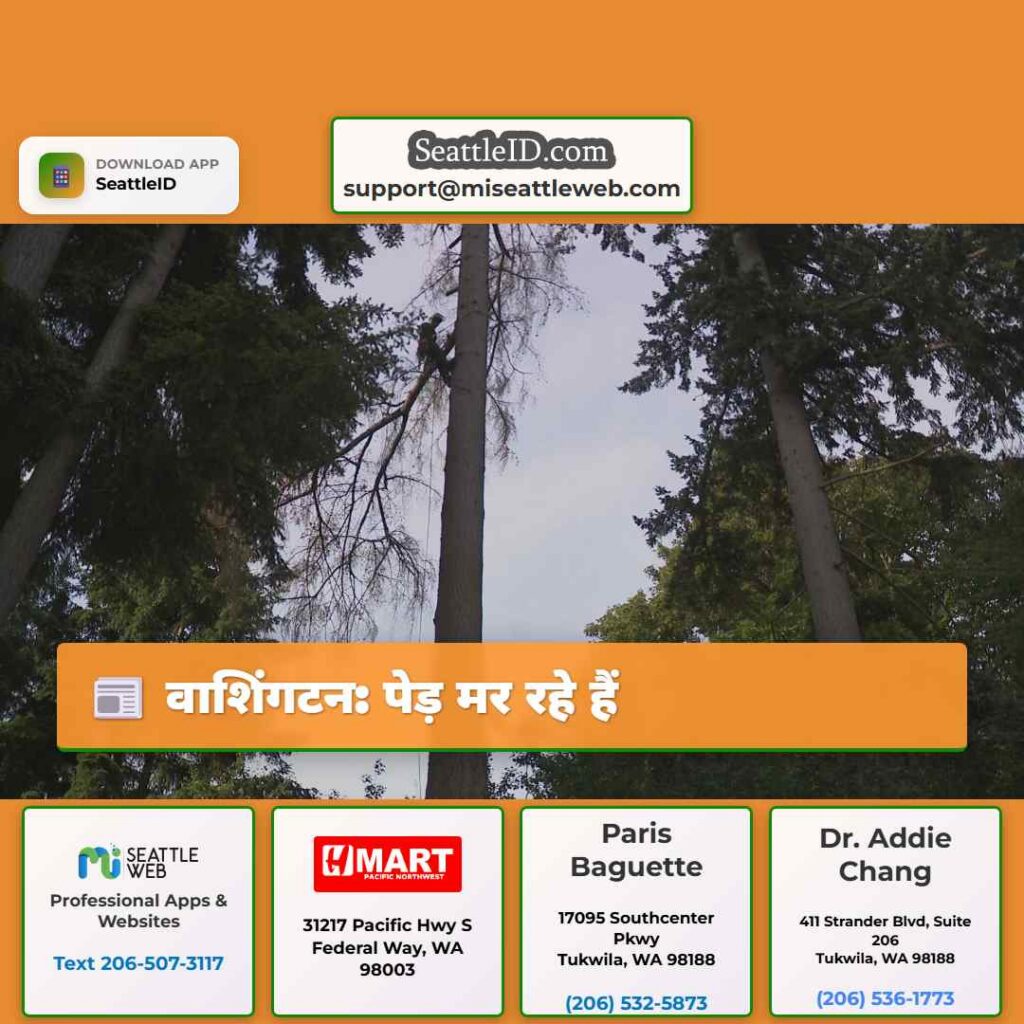 वाशिंगटन: पेड़ मर रहे हैं